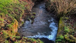 MAIDENS GONE MEDIEVAL (DARK FANTASY VLOG)