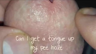 Beautiful Frenum Cock "Extreme Close Up"