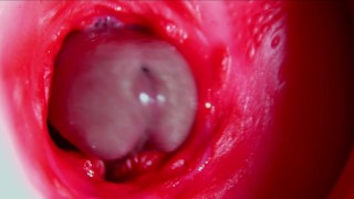 Juicy beautiful pussy squelches inside ASMR close-up inside the anus