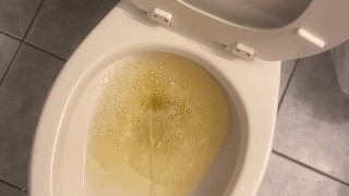 Cub takes midnight piss