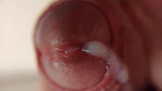 макро оргазм