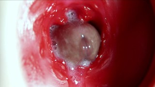 Big orgasm inside the anus! Fantastic moaning orgasm and a lot of sperm!