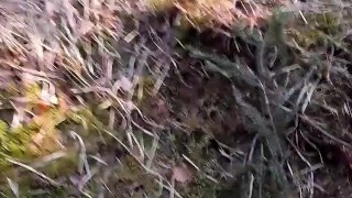 Bear Twink: Naked Man Handjob Wwhile Walking (Next to the Bike Path) - RASH horny white man