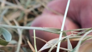 Young jerking off: Masturbation in the Hay in the Village - KolowskiBRO at Grandpa's Father!