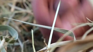 Young jerking off: Masturbation in the Hay in the Village - at Grandpa's Father!
