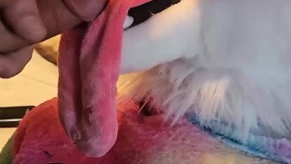 Good Boy. Swallow. Good Puppy. Drink my Cum.