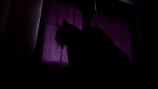 LA VECINA SE METE A MI CUARTO Y TERMINA SIENDO COGIDA BIEN RICO- SusyCandy