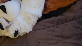 PAW FUCKER! @AngryBarks loves fucking his feet until he cums hard 💦 Bark Bark!