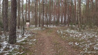 Perverted Exhibitionist: Walking Through the Woods in Winter (Small Penis) - Nude in the snow