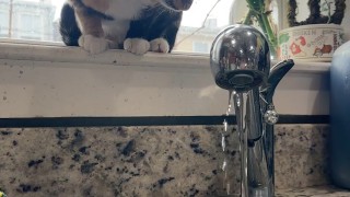 Chubby tatted goth girl gets off with pink dildo