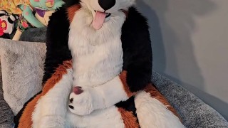 @AngryBarks from the Vet's office teaches your how to milk your puppy boyfriend 👨‍🔬💦