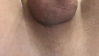 アナルだけで我慢汁ダラダラなとこ見てください