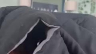 May the force be with that pussy