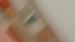 More booty from kitten