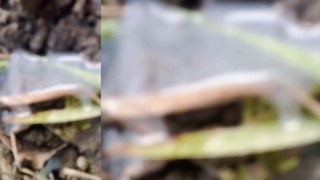 Jon Arteen masturbates his twink cock, ejaculates cum dripping sticky to his fingers