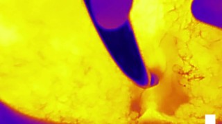 Thermal vision - Anal hook