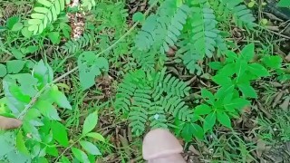 PASULYAP SULYAP BAKA MAY NAMBOBOSO