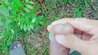 PASULYAP SULYAP BAKA MAY NAMBOBOSO
