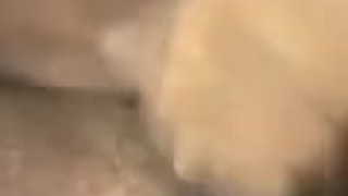 My big cock black explodes with pleasure and squirts a lot of milk (Mi gran polla explota de placer)