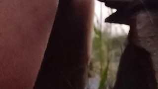 Nickelodeon dick but I cum like a porn star