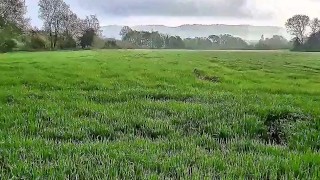 Twink Cums in Public Park Cruising