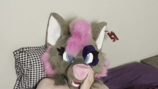 Furry murrsuiter showing his feet while jerking off to the thought of rabbits~.