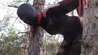 Preview Half an hour compilation of a milf fucked doggy style with repeated orgasms