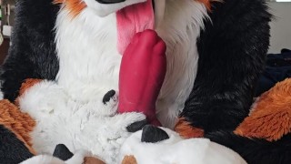 @AngryBarks self sucking his extra large bone💦