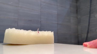 trapped in unaware giants sponge