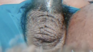 Giant Cums On City *ENJOY BUGS*