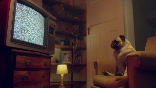 Intense Passion on the Couch – Amy Douxxx in Wild Doggystyle Action | Benefit Monkey