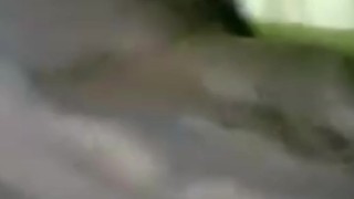 WALANG MAG INGAY BAKA MARINIG