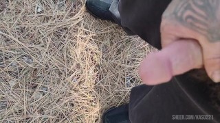 Cunning in the woods