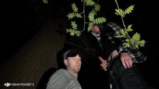 blowjob and fun in the forest at night