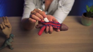 Así se ve un Realmente un Pene por dentro: Anatomía de un Gran miembro