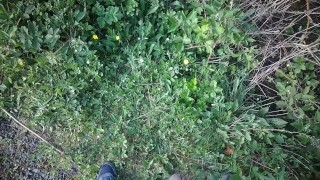 Pissing in Public. Taking a piss on my walk through the park.