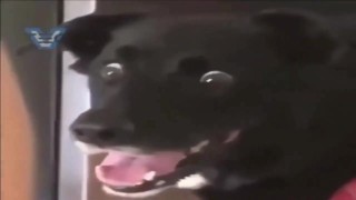 dayz juegazon con sus bug y todo