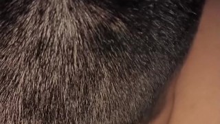 Convencí a mi amiga para grabarnos y le chupe su rico culo se calentó y la penetré