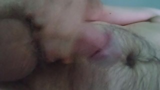 Morning Cock