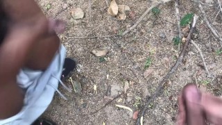 34 Another adventure in the woods