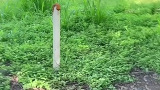 TWINK CRUISING IN THE PARK - PENDEJO GOONER ARGENTINO FIT SE SACA LA PIJA EN PUBLICO - SHORT VIDEO