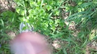 I was very scared, but I did it. Extremely dangerous masturbation during Africans safari