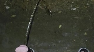 Soft white cock pissing peeing outside 🍆💦 drink my piss