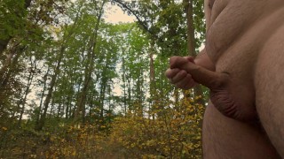 Fast jerking in the city park, big cum! 4K Iamhornybobo