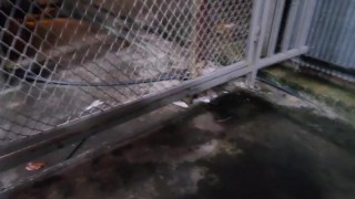 POV walking with chastity cage