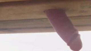 Watch what happens at the end of the video. Meet your furniture slut.