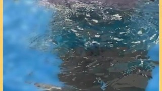 Wifey wet shirt in the pool with perfect braless tits