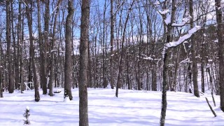 I made Pornstar Nina Rivera my Personal Dick Sucking Whore Compilation 3 Don Whoe Outdoors