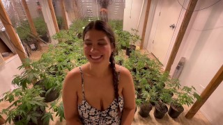 Greenhouse Gawk – POV BJ in the Grow