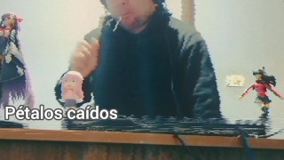 Música para tys momentos - Pétalos Caidos